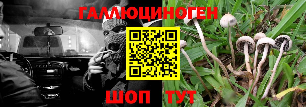 Соликамск  Псилоцибиновые грибы мухоморы  Вход с VPN 